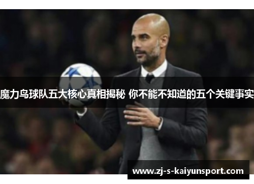 魔力鸟球队五大核心真相揭秘 你不能不知道的五个关键事实